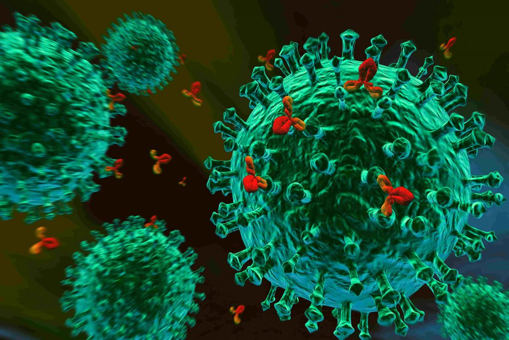 Поствакцинальный иммунитет к коронавирусу